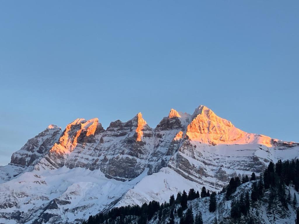 B&B Chalet Rey-Bellet Les Crosets Exterior foto